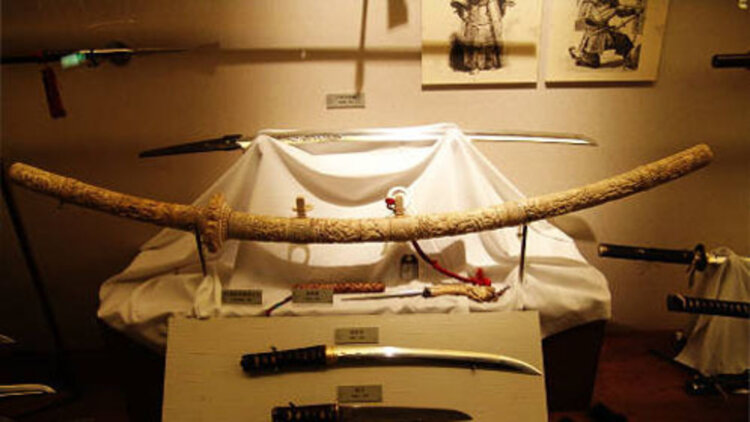 玫瑰的救赎——命运交织的意外相遇