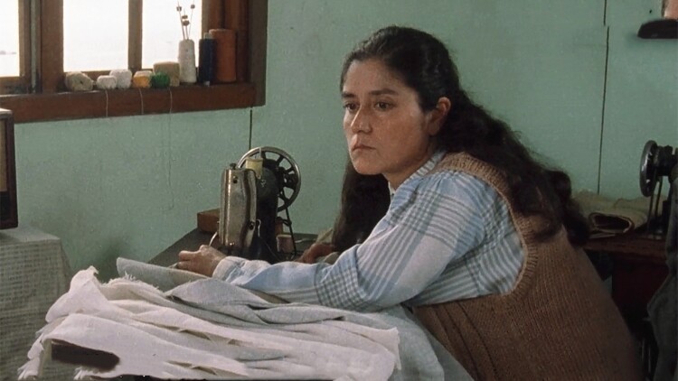 我是女儿的守护神