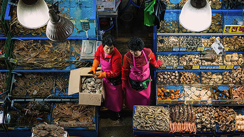 正义联盟与红白黑黄超级英雄和猎人（上）