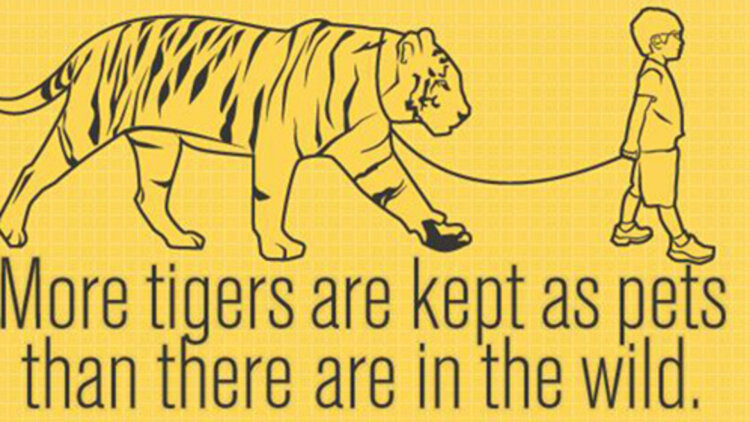 完蛋我被房客包围了