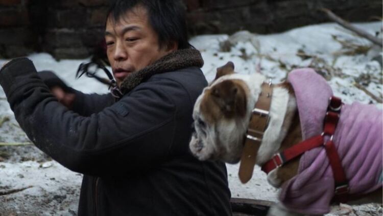 我们这一摊第二季