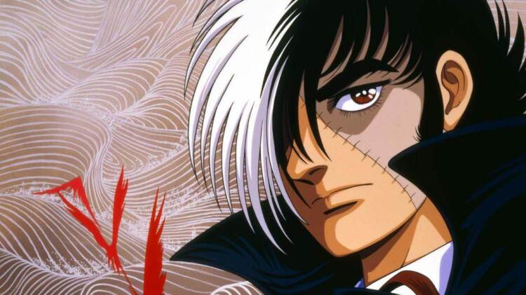 东邻西舍第六季