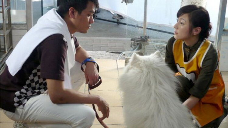 狐妖小红娘12镜花缘篇