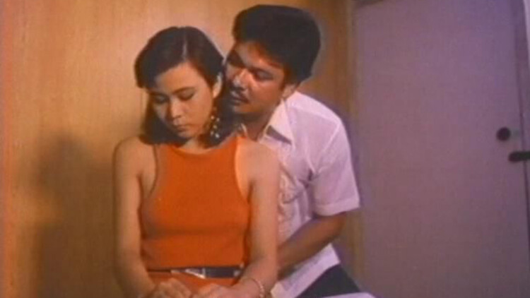 小伙小妹换游记·意外的友谊与羁绊