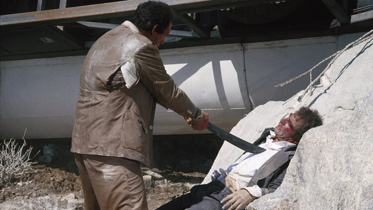 《动物的秘密生活》之友谊的力量