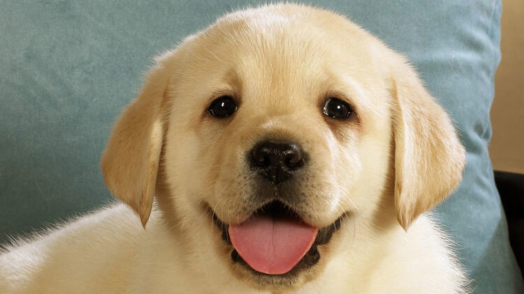 《眼瞎十五年无敌一辈子》巅峰