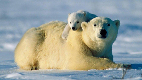 许你新生：爱情的试炼