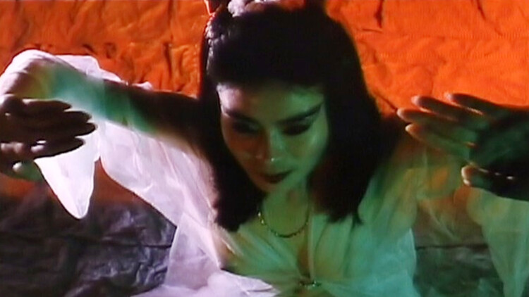 落花错付遇明月