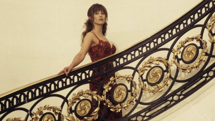 杀鱼十年我是总裁白月光·意外重逢