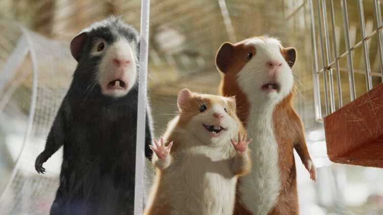 名流男子太棘手