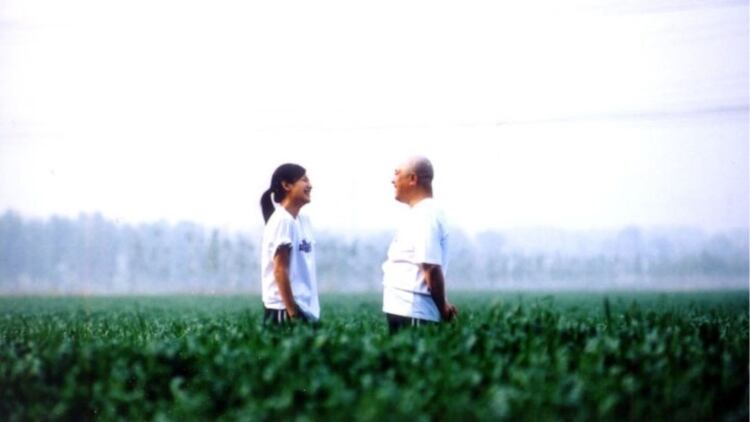 七夕夜我被霸总强制闪婚——初识冷漠霸总