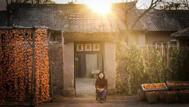 千年后我依旧爱你