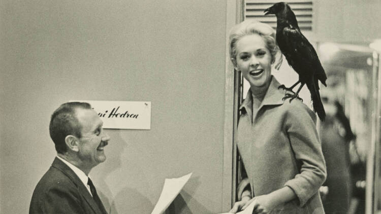 阴晴不定大哥哥