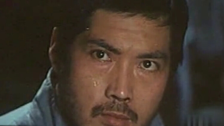 未来的展望：隔离墙能否带来长久的和平？