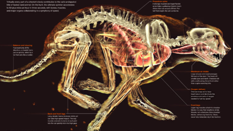 八十天环游地球