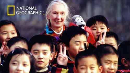 崽崽被欺负顶级大佬们坐不住啦：校园初遇