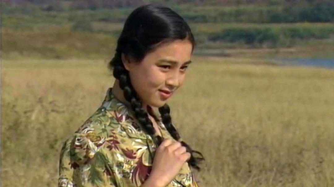 女人不是月亮-封面1