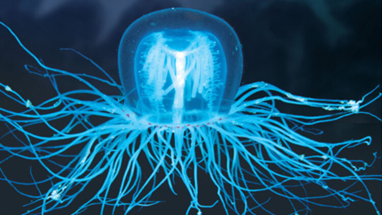 广播体操与心态调节：一天的好心情从这里开始