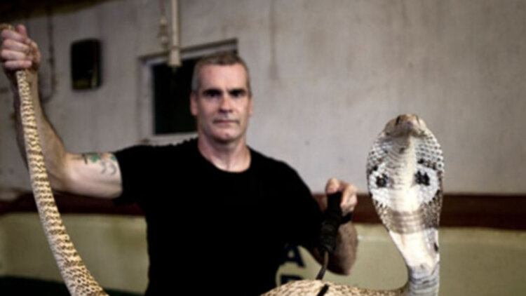 恋爱脑后宫求生指南