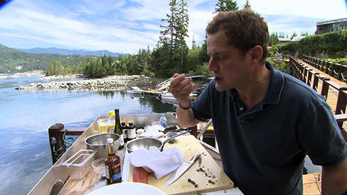 两年当狗一朝翻身