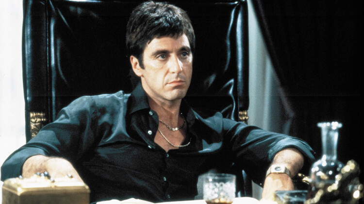 招财进宝小小福星闯进门的温情互动