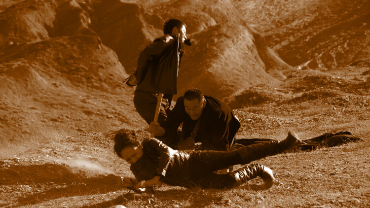 爱情的无理由性——纯粹的情感连接