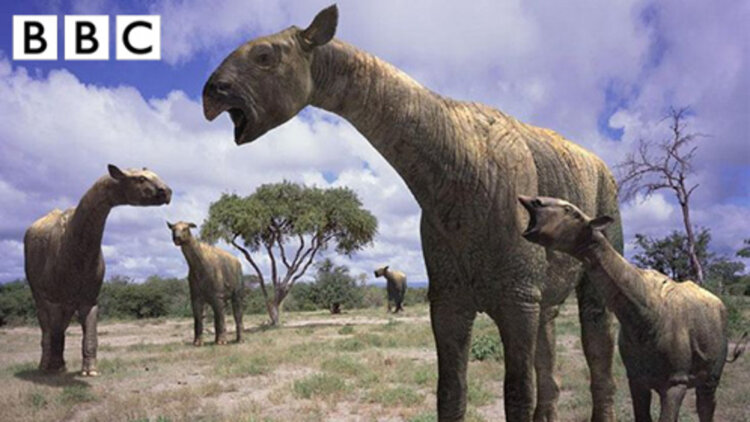 《宗门里除了我都是卧底》真假难辨