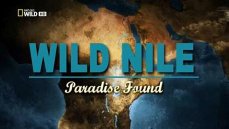 夏目友人帐石起和可疑来访者