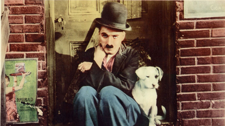 《外卖至尊》真情的守护