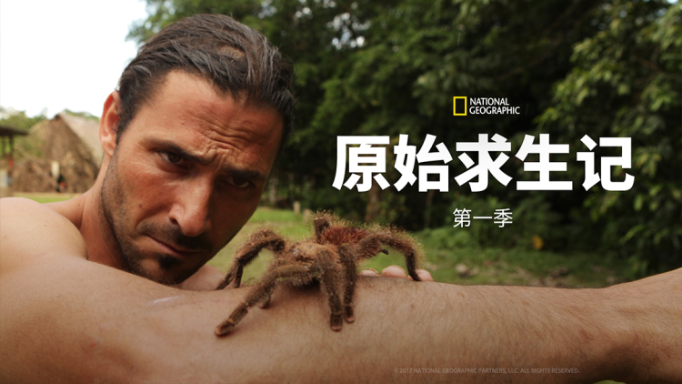 爱意不归山水不逢