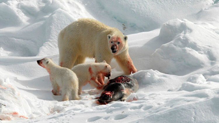 照亮黑夜的太阳