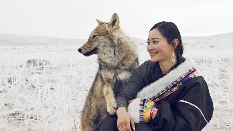 非豪勿扰——情感的暗流