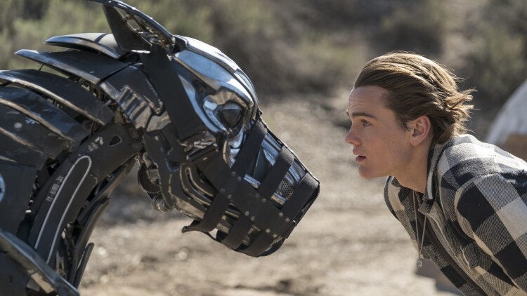 爱是一场伪装——初见的假象