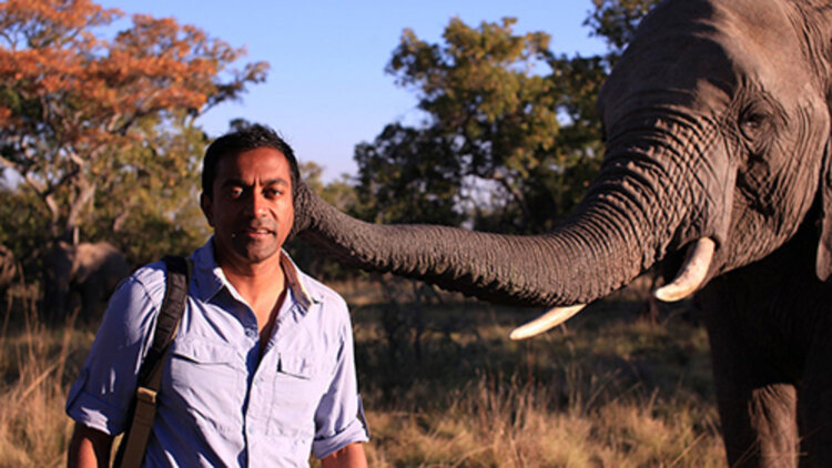 伤心者联盟的意外成立