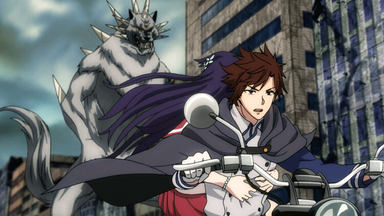 三宝排排站老板请签收