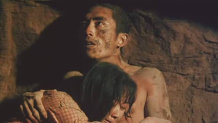 我在岛屿读书第二季