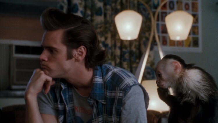 全球化的扩张：NBA的国际影响力