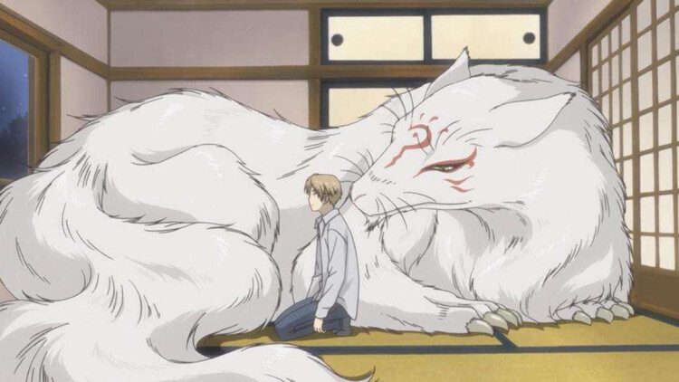 夫人会赊刀全城开始预言