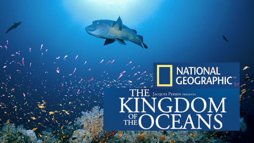 怀了帝国继承人后被全帝国团宠的宠溺展开