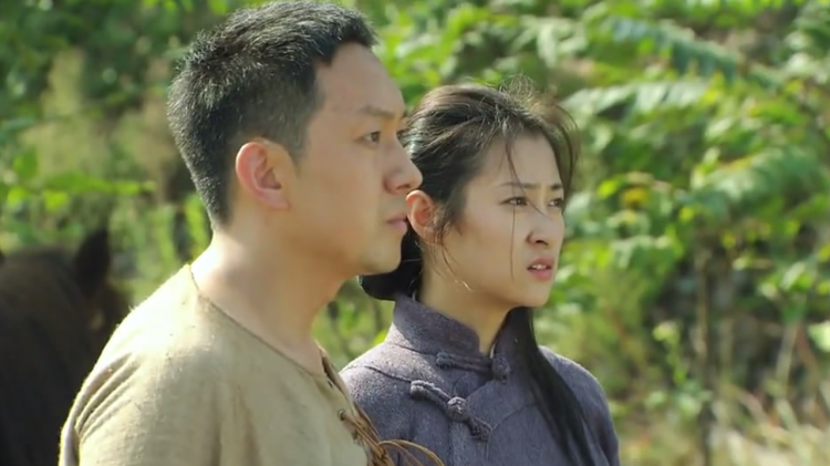 犬种对寿命的影响：小型犬 vs 大型犬