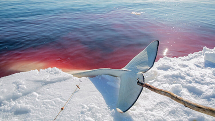 我当伴娘新郎进错房