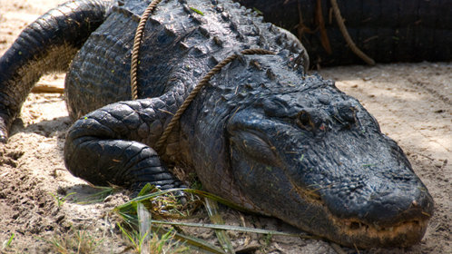 一路前行第二季