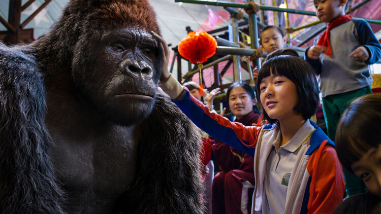 天降好运锦鲤赐福