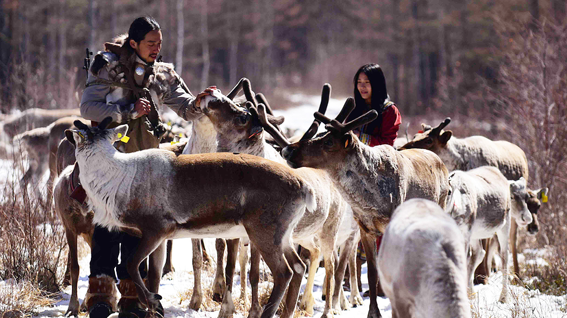 沉默的雪