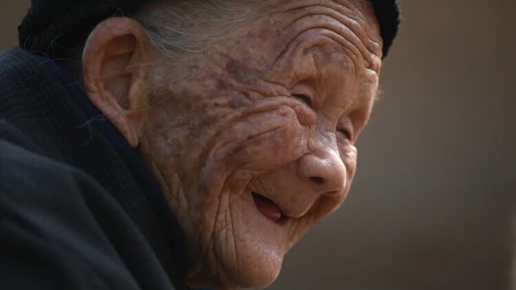 霜陨芦花泪湿衣