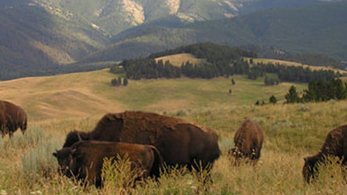 明天会更美好：新生活的开始
