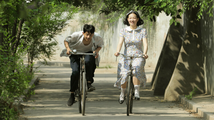 领养宠物的数量：一个理智的选择