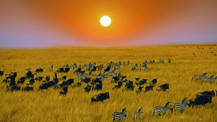 《穿书后靠读心被权臣龙夫娇宠了》与权臣初识