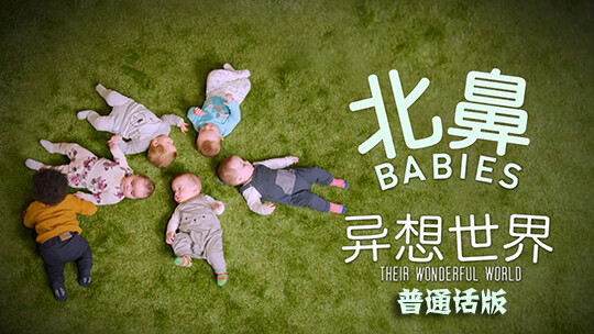 有一种叫云南的生活2024年云南省春节文艺晚会