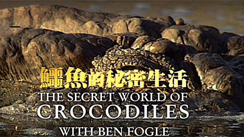 团宠小师妹竟是大佬·初入门派